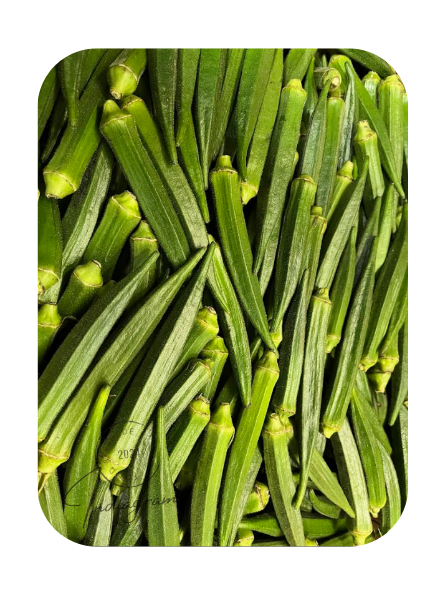 FRESH BHINDI (OKRA) – INDIAGRAM FOOD & FREUDE